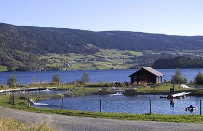 Trøsvik