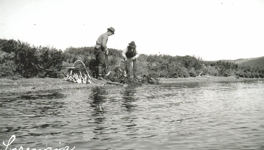 Rakfisk Wangensten