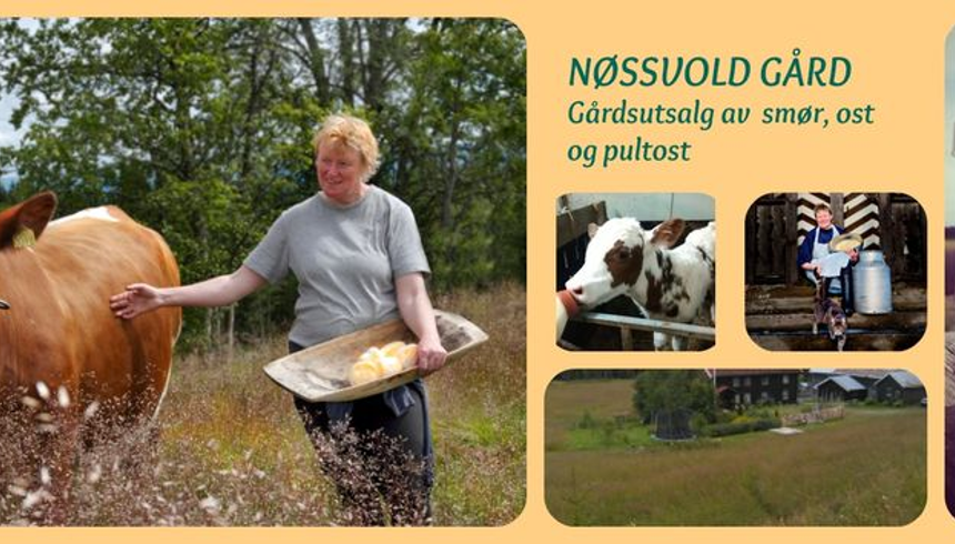 Nøssvold
