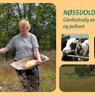 Nøssvold